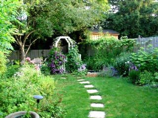 [back_yard1.jpg]