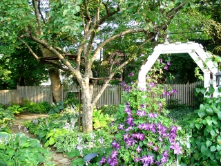 [back_yard2.jpg]