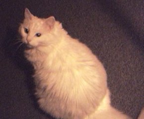 [davepic031301a.jpg]