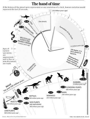 evolution_clock.gif