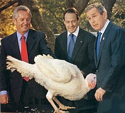 [george_w_bush_turkey_shrunk.jpg]