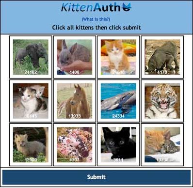 kitten_auth.jpg