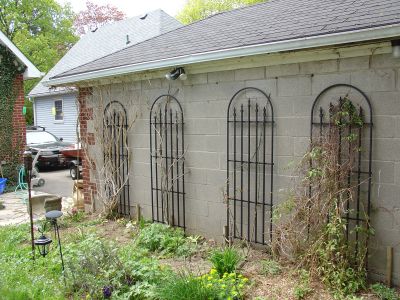 neat_trellises.jpg