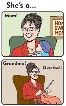 palin_comics.jpg