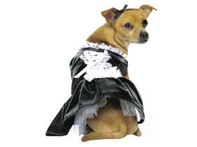 slutty_dog_costumes.jpg