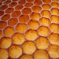 A honeycomb