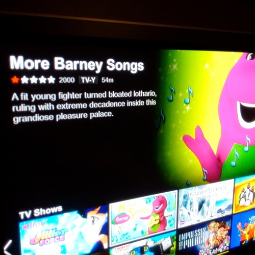 netflix_barney.jpg