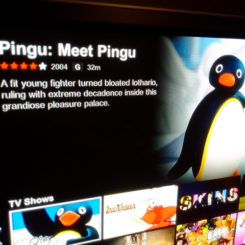 netflix_pingu.jpg